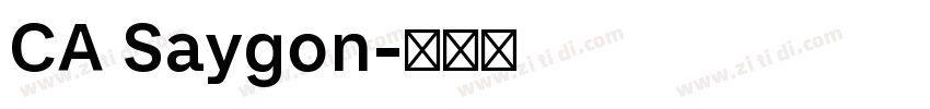 CA Saygon字体转换